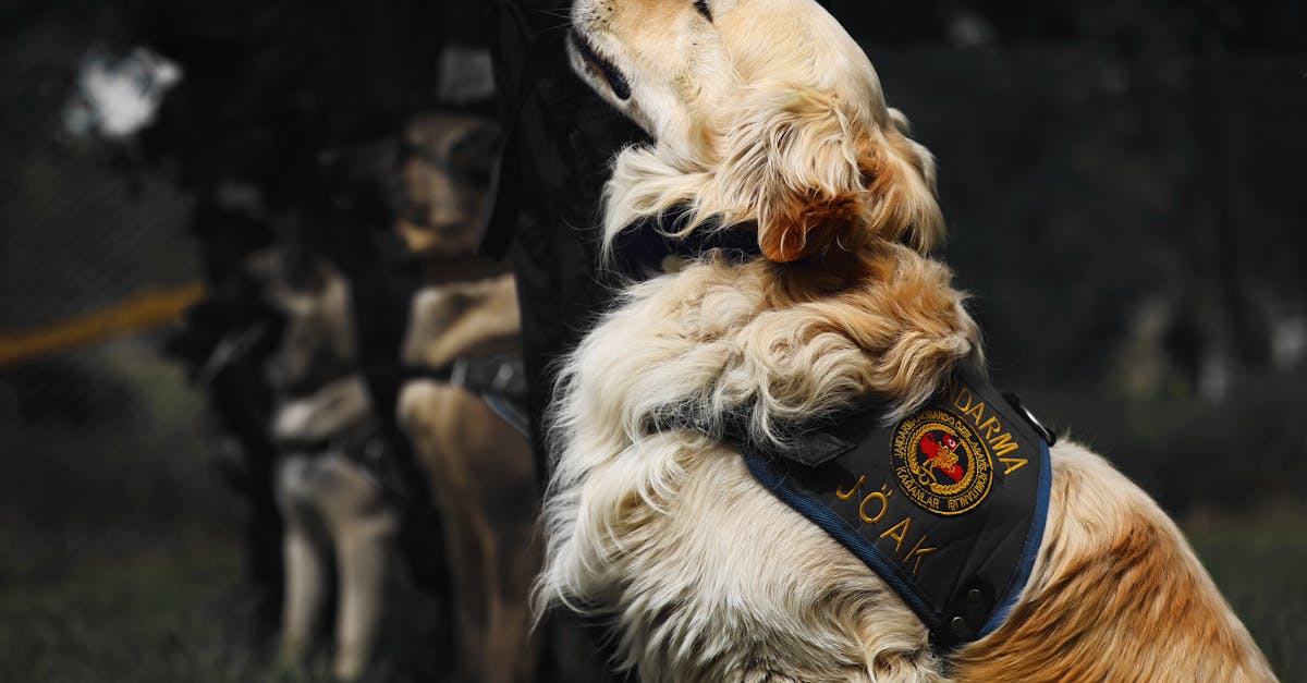 如何在跨境营销中降低风险