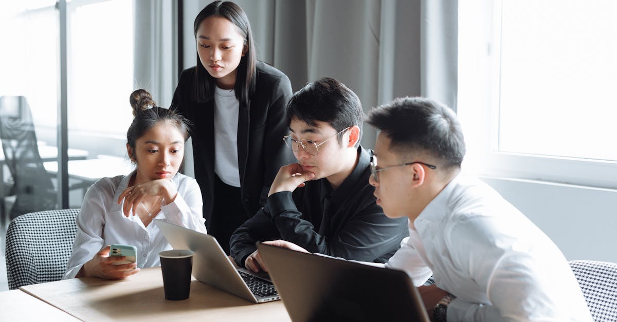 cc网页端|常德小猫购买平台