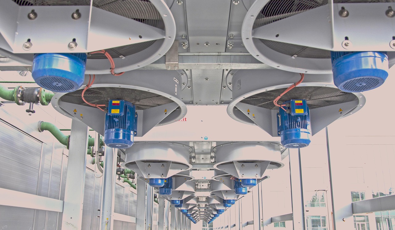 香烟和森林保护议题的联系